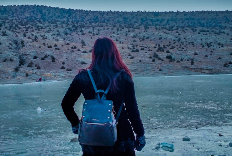 Girl on a road trip experience stops to take in the mountain view.