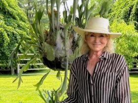 Martha Stewart beauty routine