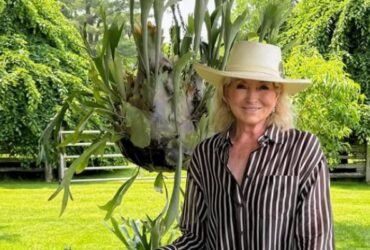 Martha Stewart beauty routine