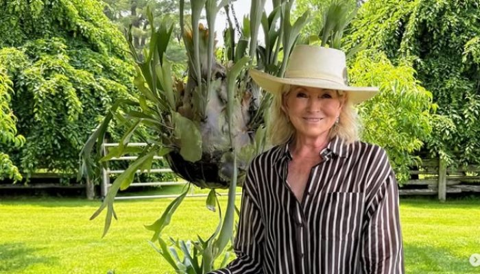Martha Stewart beauty routine