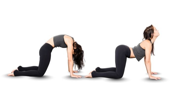 cat cow pose
